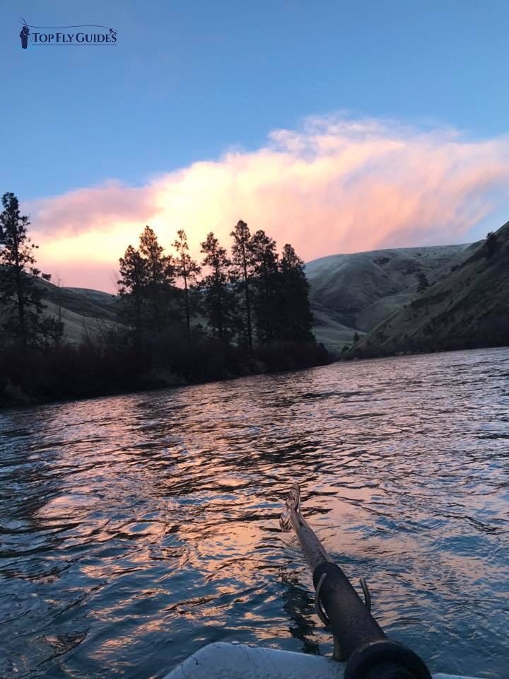 Yakima river guided fly fishing trip