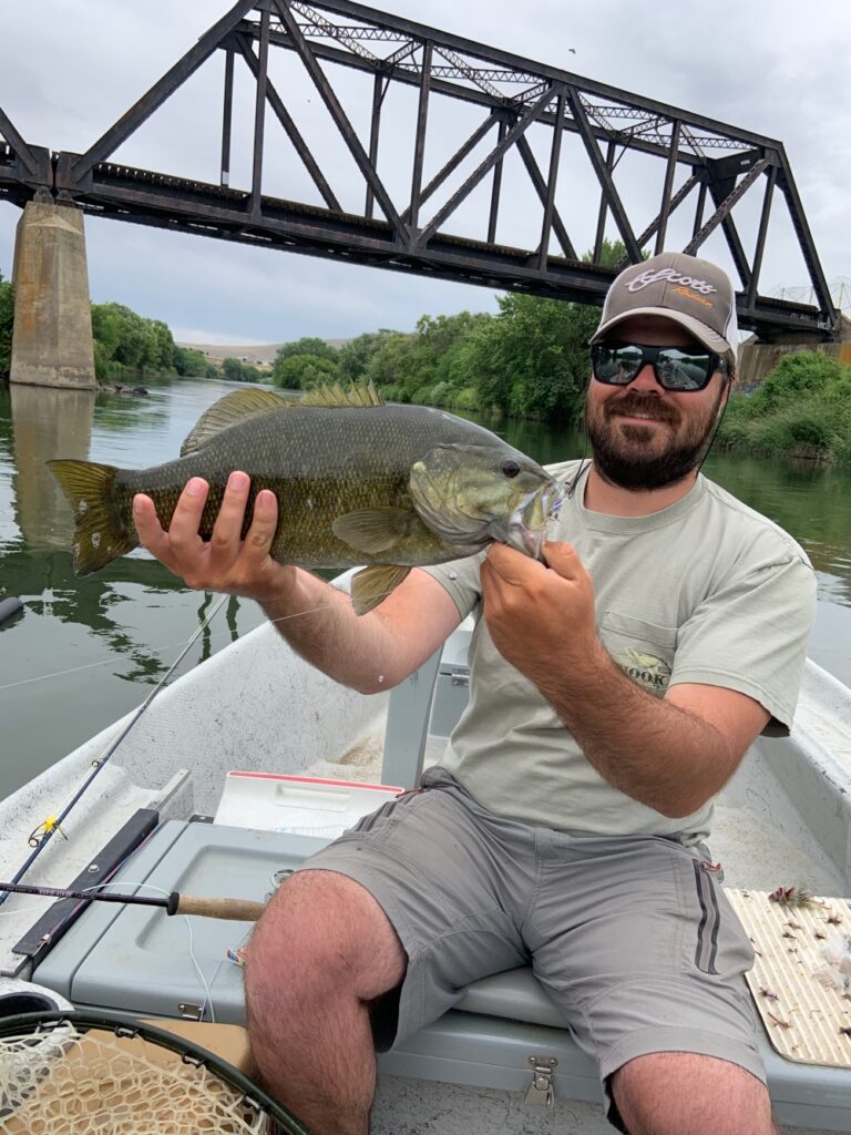 Yakima River Smallmouth bass